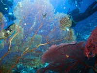 IMG_0489.jpg