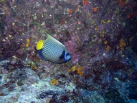 IMG_0553.jpg