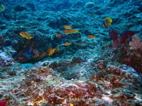 IMG_0555.jpg
