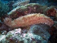 IMG_0608.jpg
