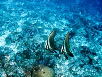 IMG_1056.jpg