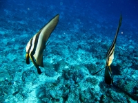 IMG_1057.jpg