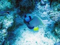 IMG_1341.jpg