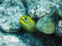 IMG_1476.jpg