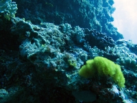 IMG_8875.jpg